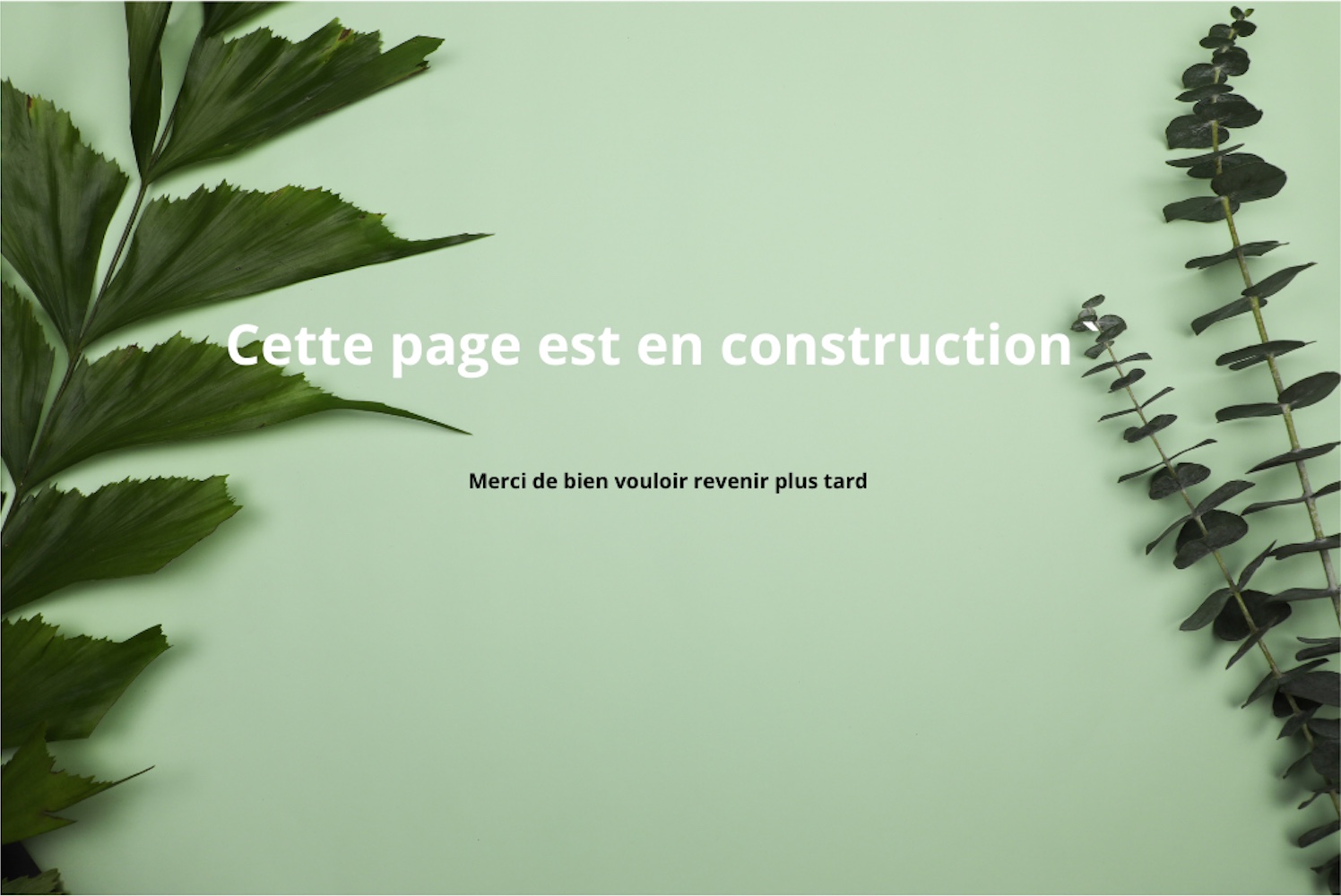 SCR 20250204 ofgt